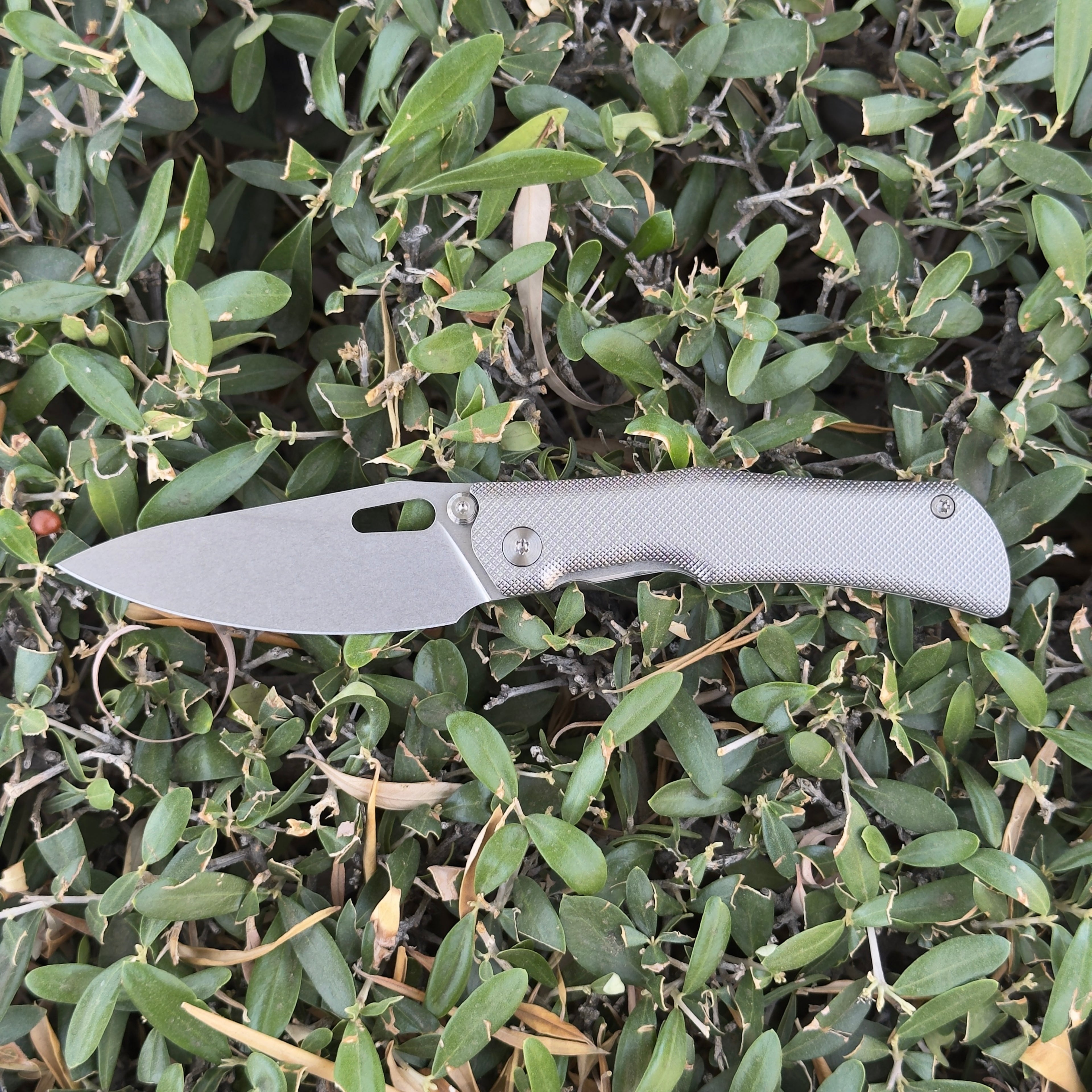 First Batch Prototype Canyon