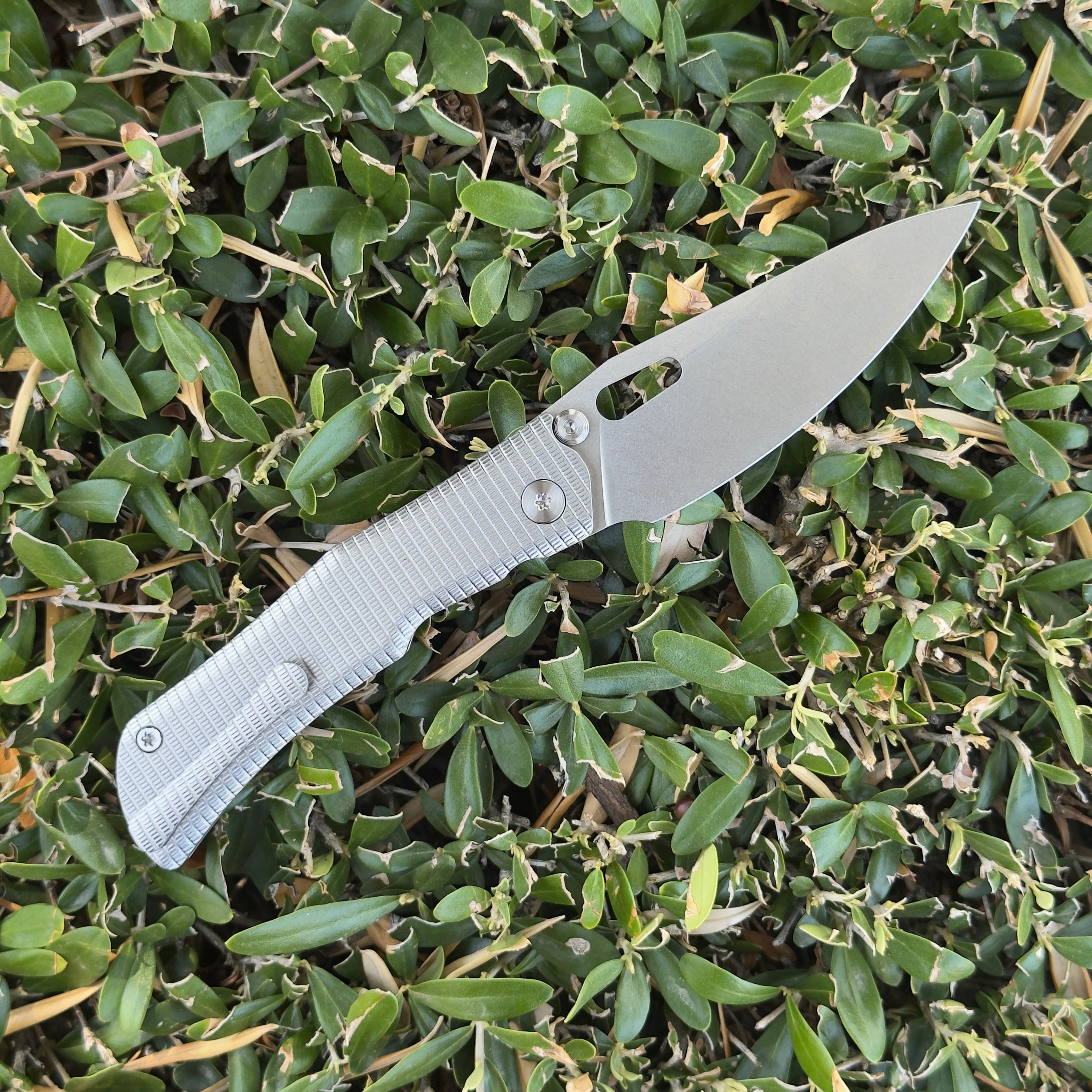 Canyon | S90V | High Rise